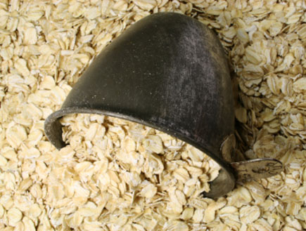 שיבולת שועל (צילום: istockphoto)