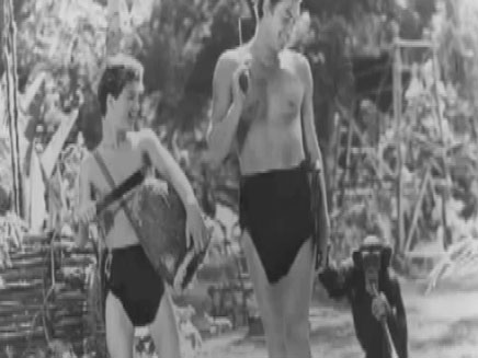 השימפנזה של טרזן (צילום: חדשות 2)