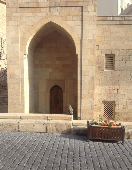 באקו, אזרבייג'ן (צילום: עודד כרמלי, mako חופש) באקו, אזרבייג'ן (צילום: עודד כרמלי, mako חופש)