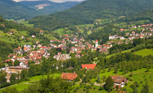 היער השחור (צילום: peresanz, shutterstock)
