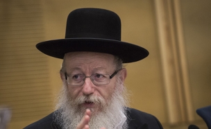 ליצמן, ארכיון (צילום: פלאש 90, הדס פרוש, חדשות)