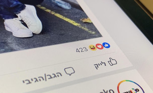 פייסבוק (צילום: ינון בן שושן, NEXTER)