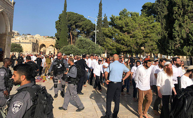 ההתפרעויות בהר הבית (צילום: דוברות המשטרה, חדשות) ההתפרעויות בהר הבית (צילום: דוברות המשטרה, חדשות)