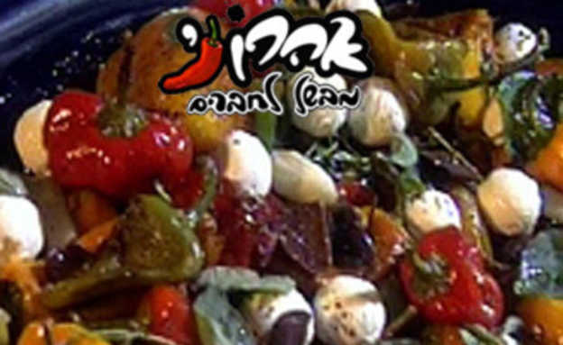 אהרוני מבשל לחברים - פרק 9