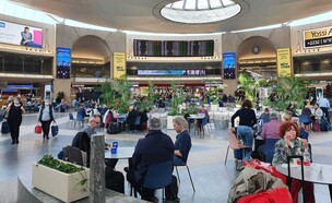 נתב"ג (צילום:  שמעון איפרגן.)