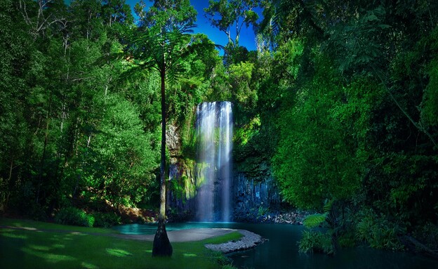 Waterfalls Circuit, Atherton Tablelands (צילום: Navigator-tour, shutterstock) Waterfalls Circuit, Atherton Tablelands (צילום: Navigator-tour, shutterstock)