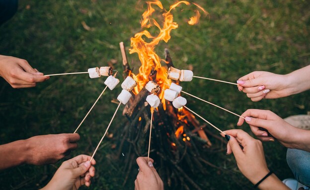 מרשמלו  (צילום: שאטרסטוק)