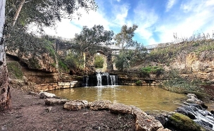 גשר הקנטרה  (צילום: מירב טלמור קשי)