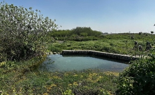 עין ארובות (צילום: מירב טלמור-קשי)