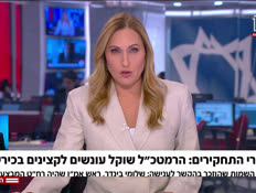 20ramatkal_vtr2_n20250506_v1 (צילום: חדשות)
