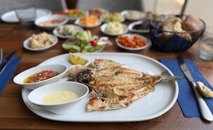 ברבוניה הכשרה בקרית אונו (צילום: לין לוי, mako אוכל)